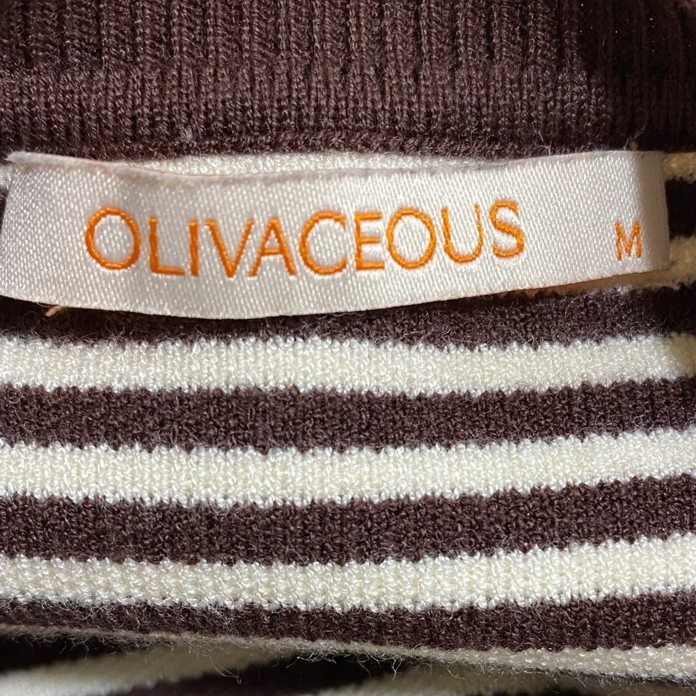 Olivaceous Chocolate and Ivory Striped Cardigan - Picture 2 of 4
